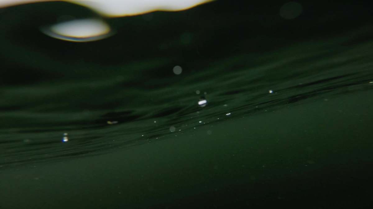 droplet underwater photography nelligan lake